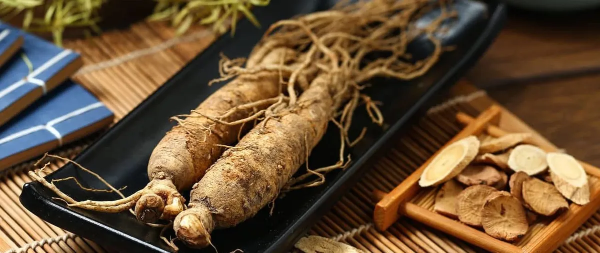 A fresh ginseng root on a dark dish
